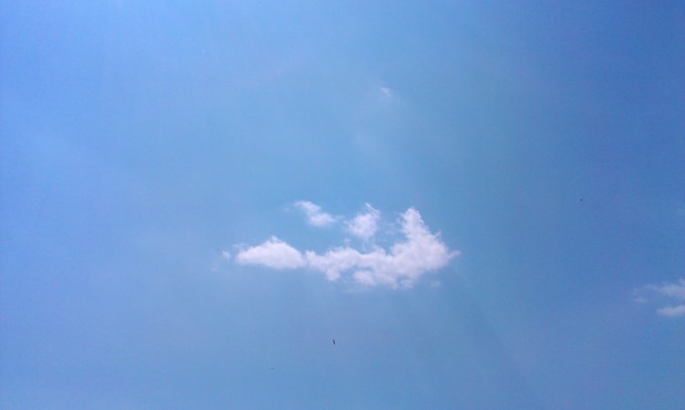 IMAG0894