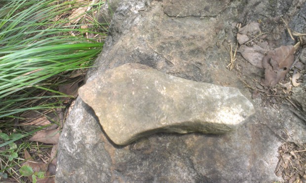 IMAG2103