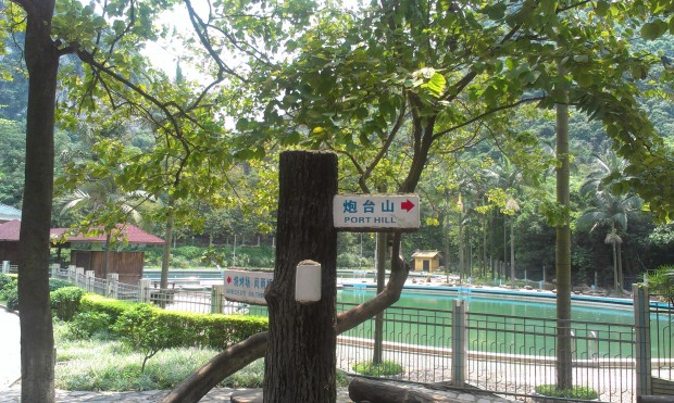 IMAG2202