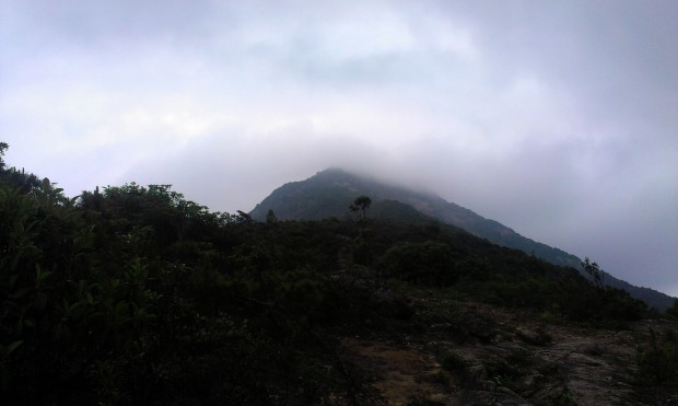 IMAG3764