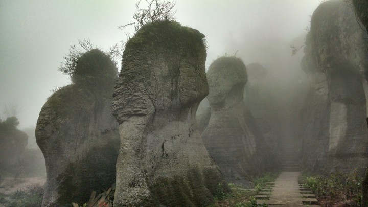 金沙石仓山(林场)游记