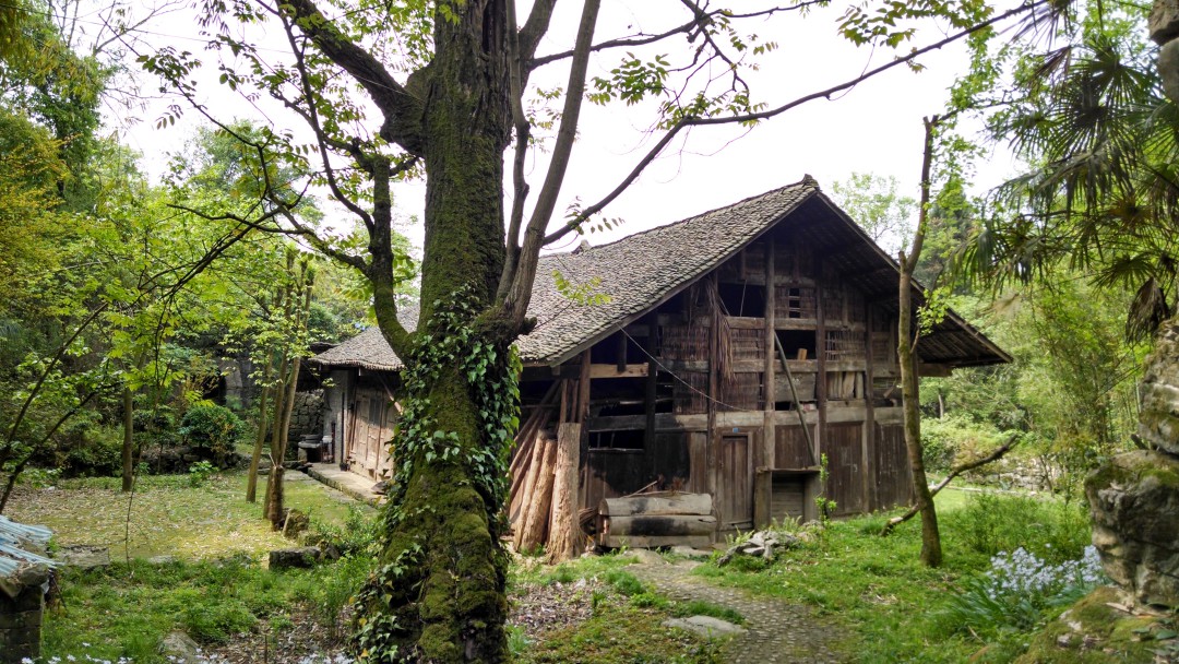 IMG_20140418_103531848_HDR