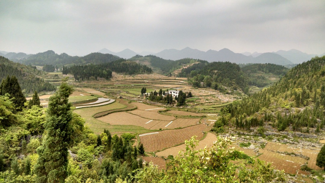 IMG_20140418_110750344_HDR