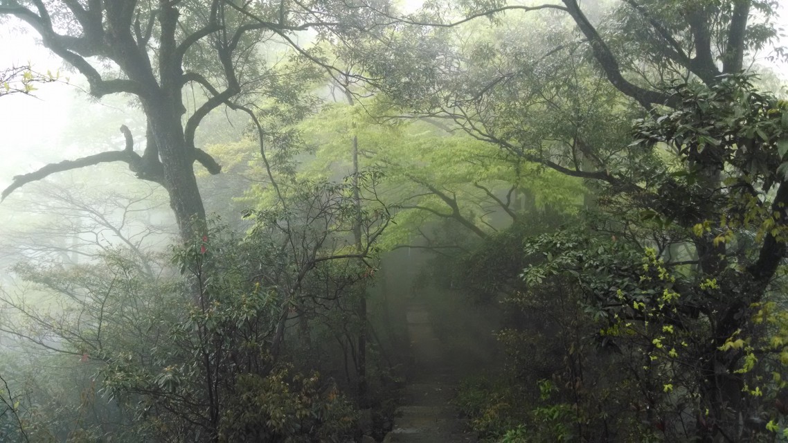 登梵净山