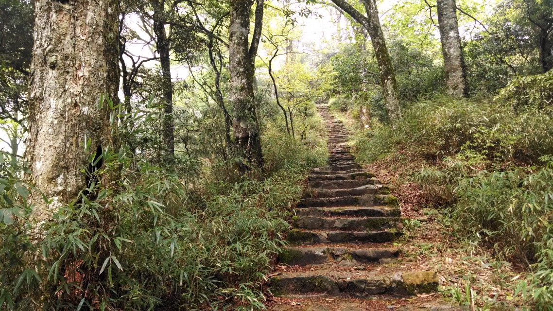 登梵净山