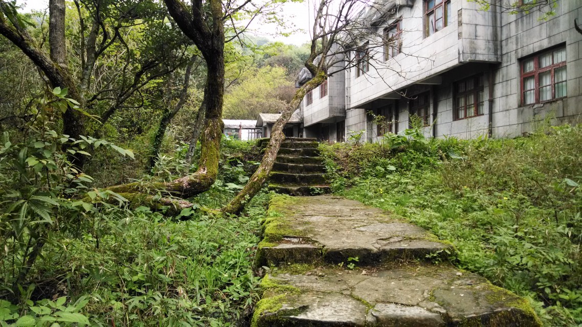 登梵净山