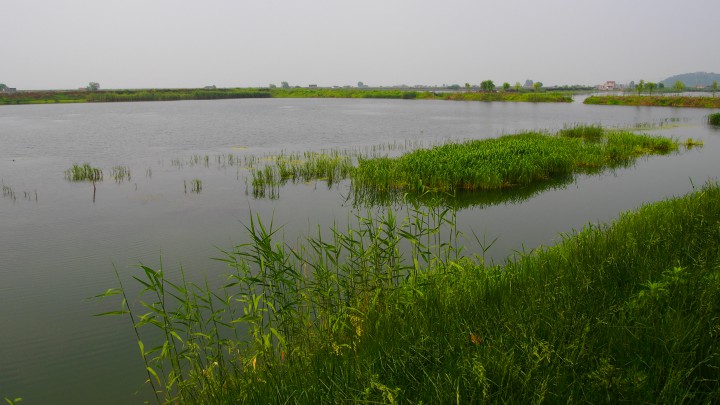 P5030194