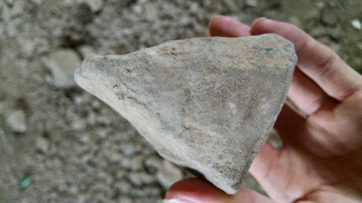 IMG_20150612_183933586