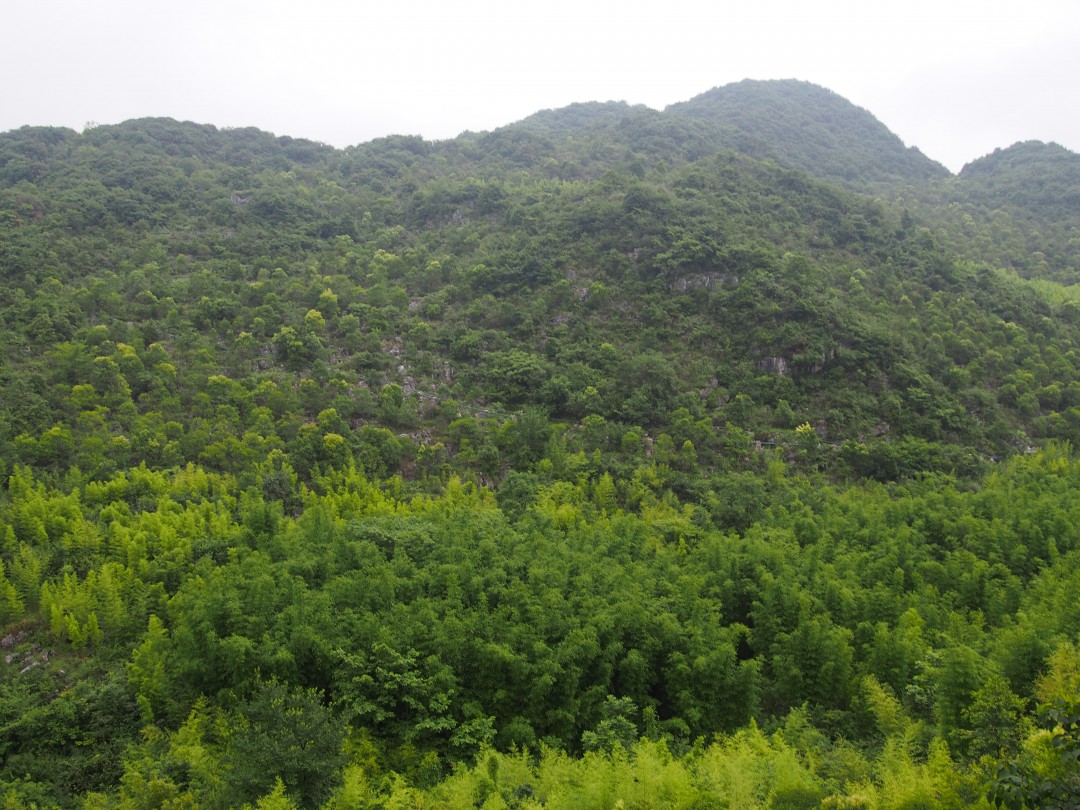 织金洞