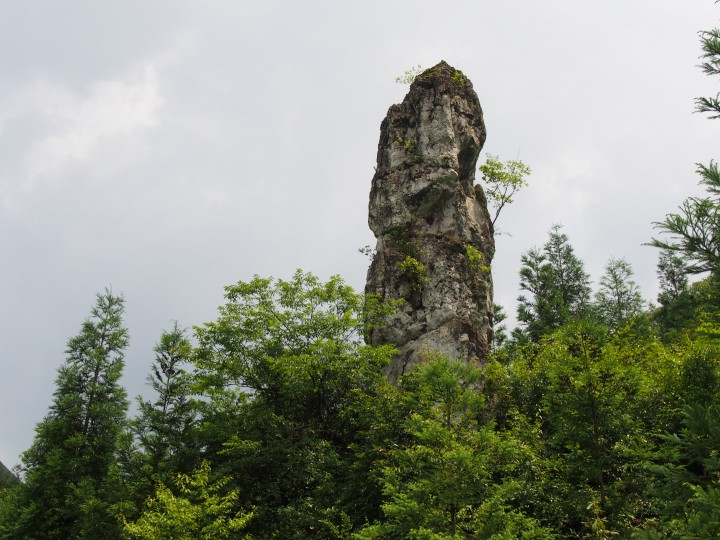 P6110221