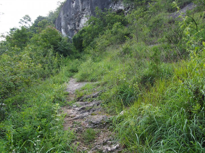 P6120225