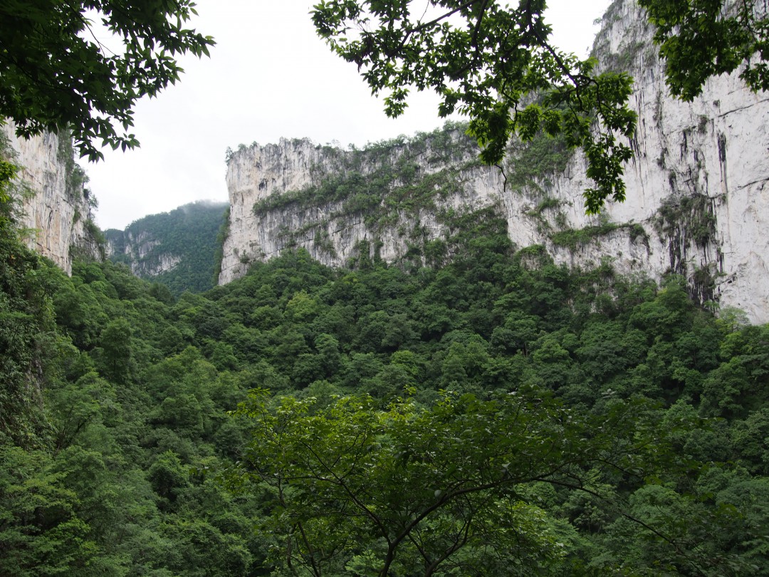 P6250336