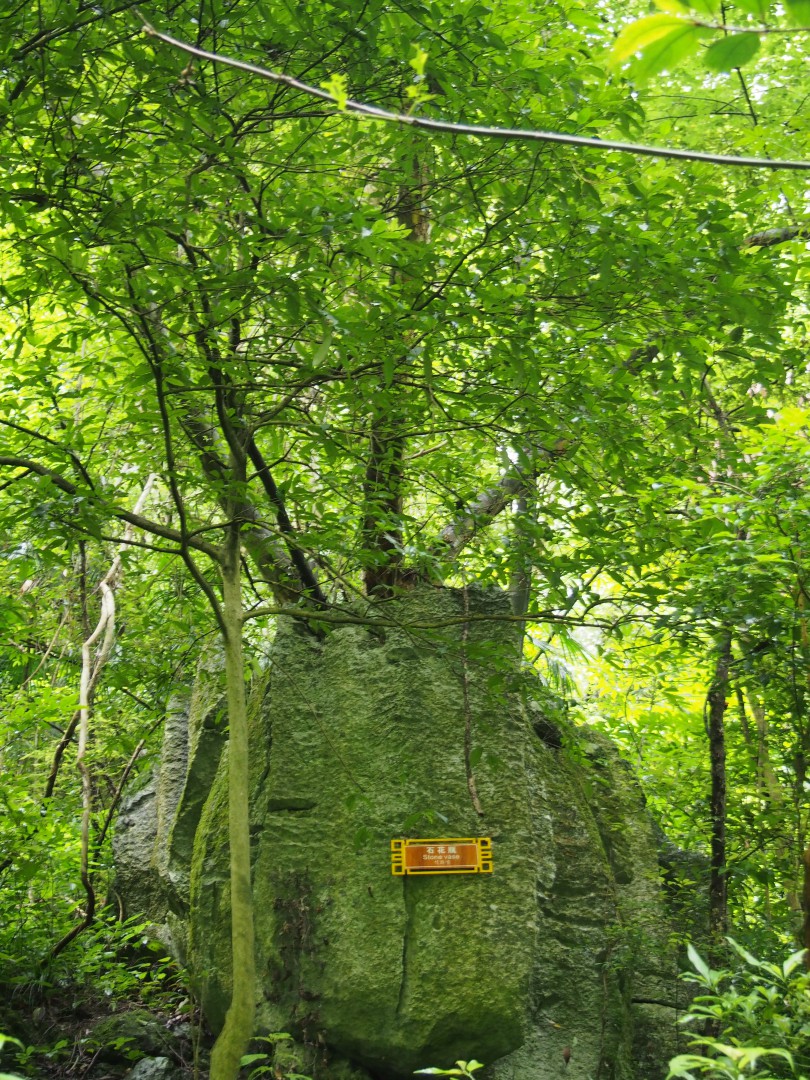 P6250342