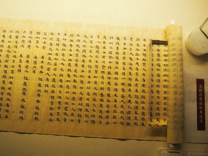 PA310554