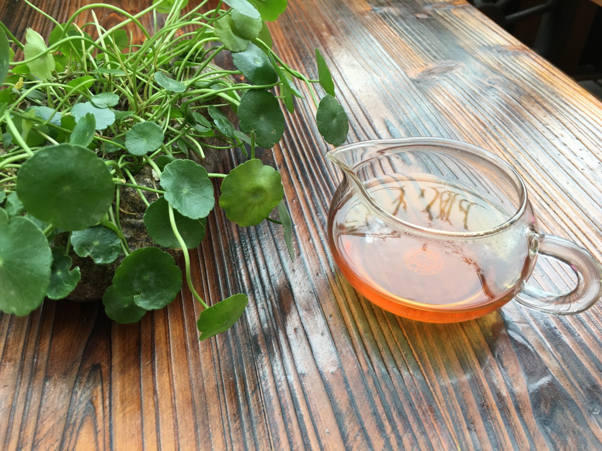 沏好的茶