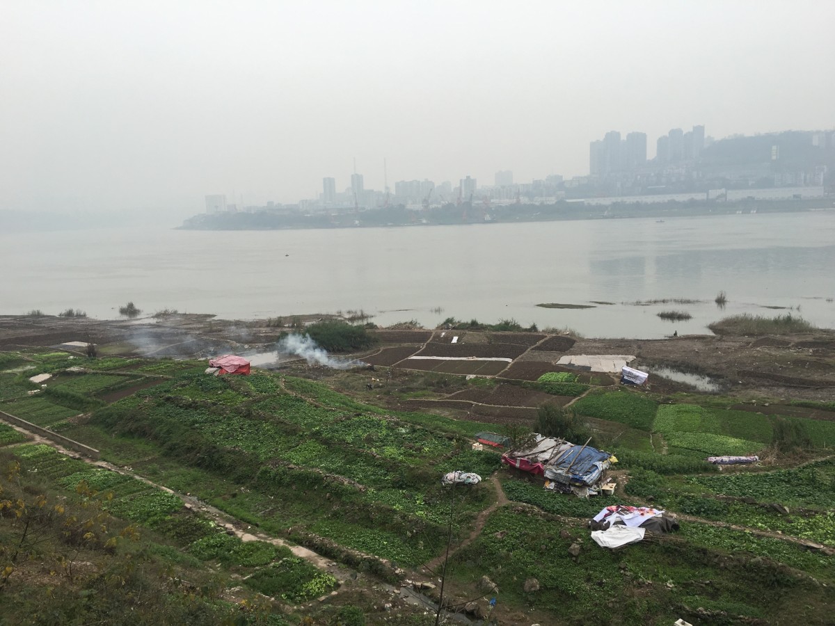 重庆鹅公岩大桥附近的长江