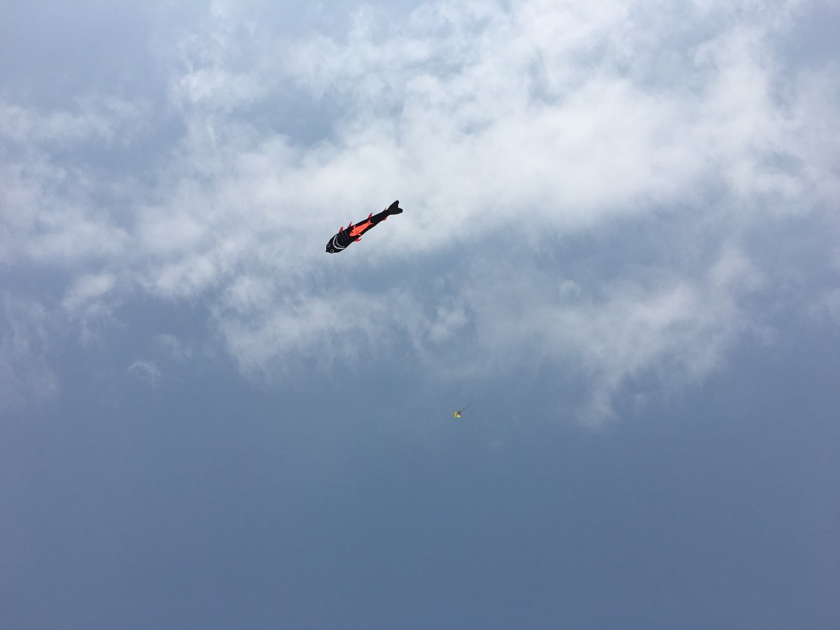春天的风筝