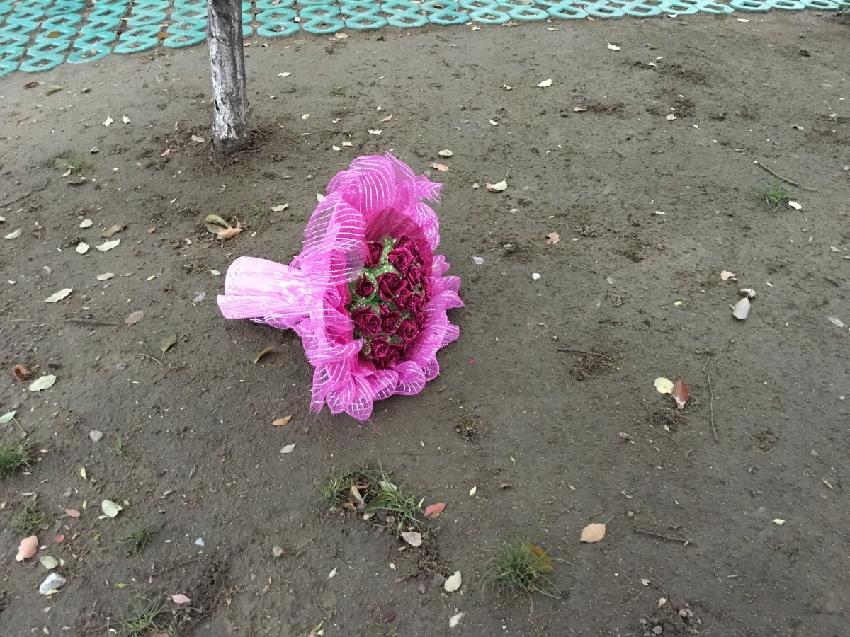 丢弃的玫瑰花