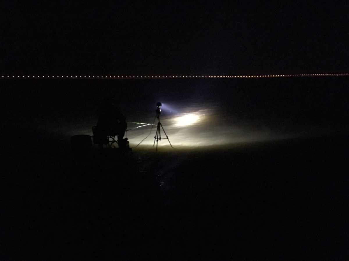 湖·夜晚·垂钓