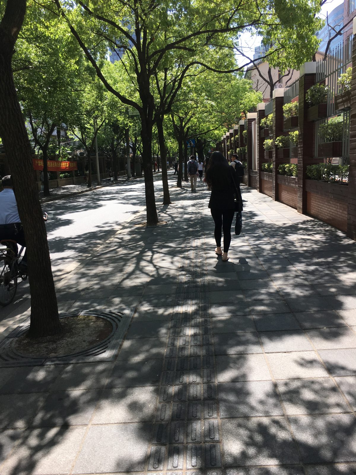 上海早上的好天气