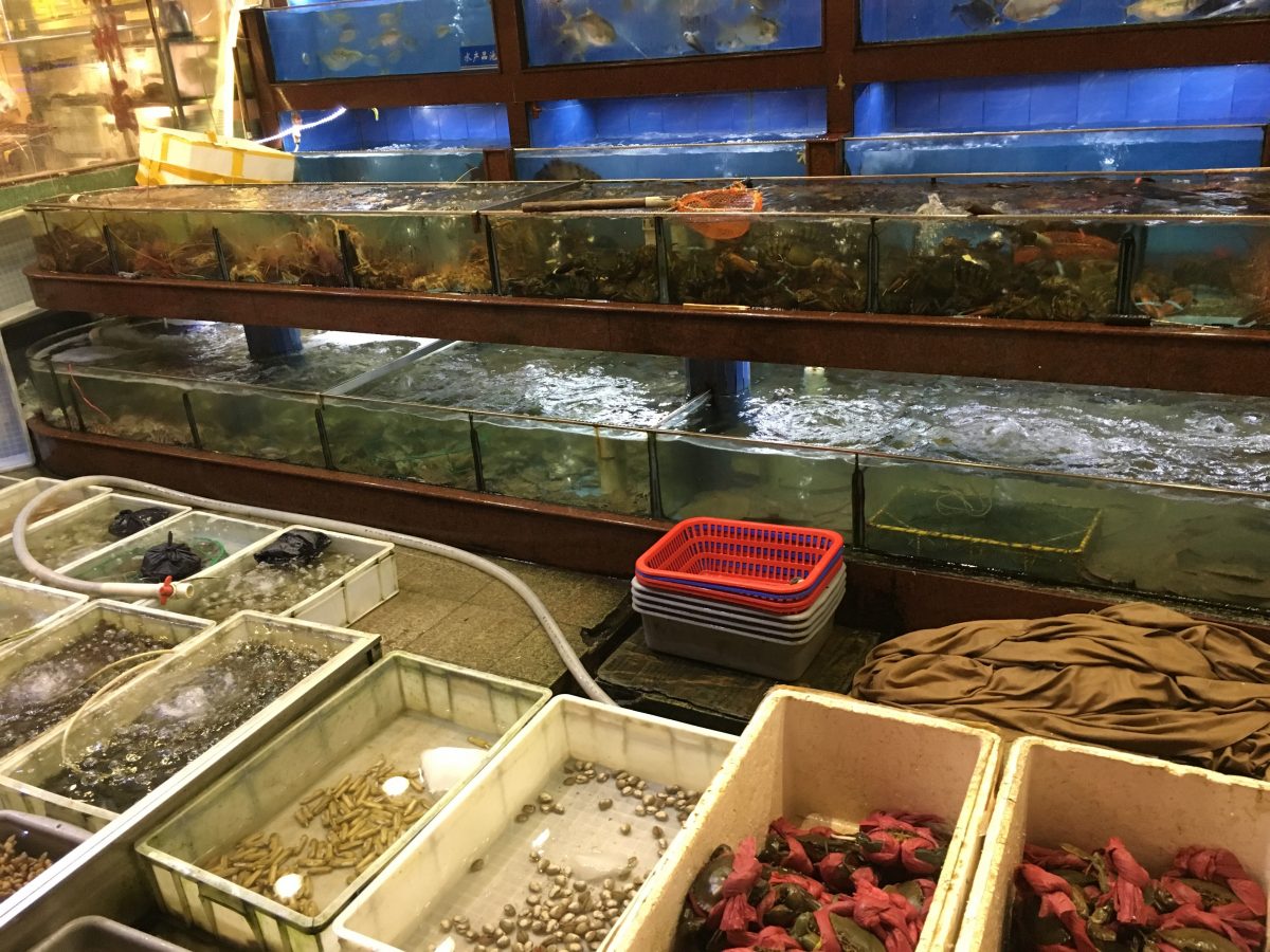 深圳华城渔港