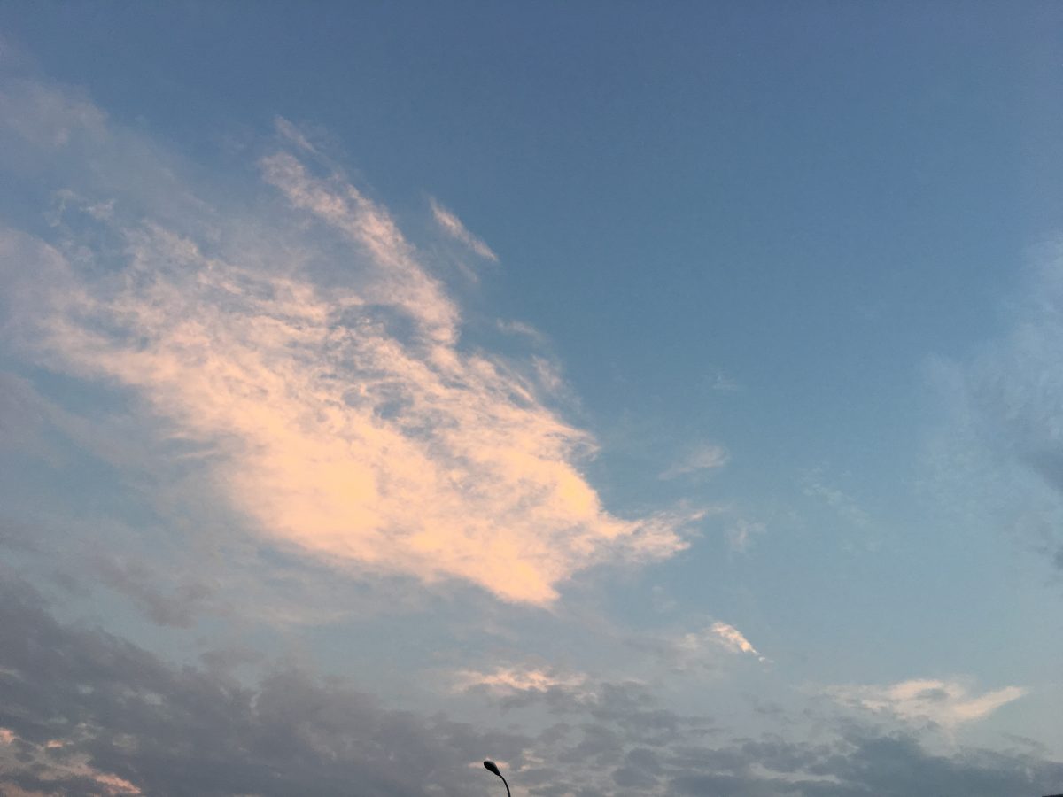 上海·天马一样的云彩