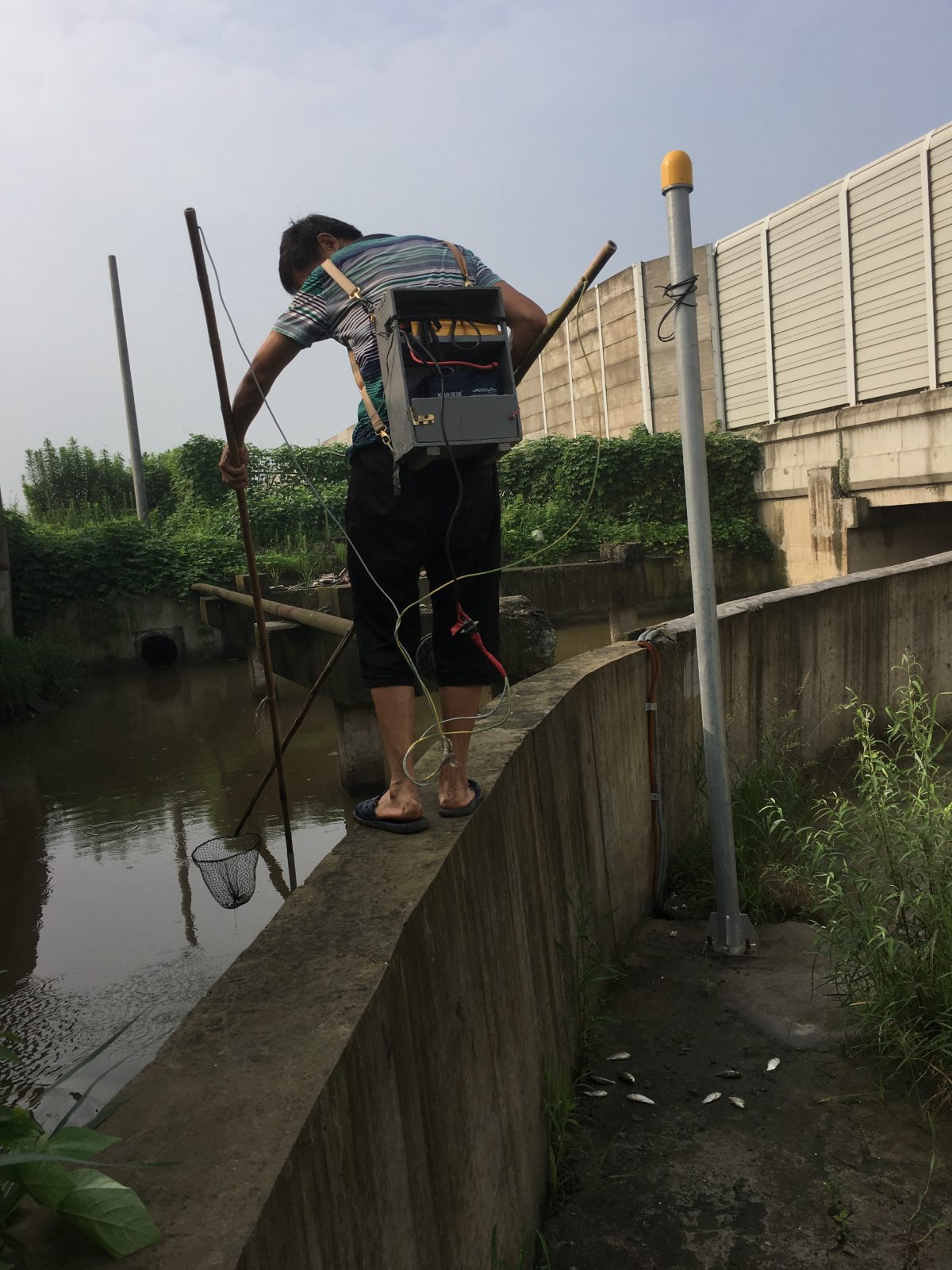 电鱼的人