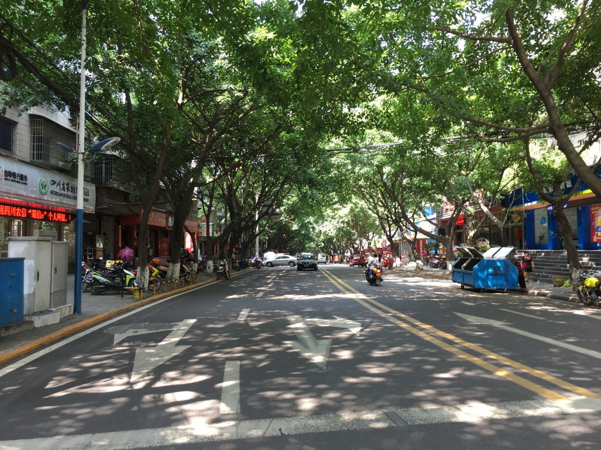 隆昌县城道路