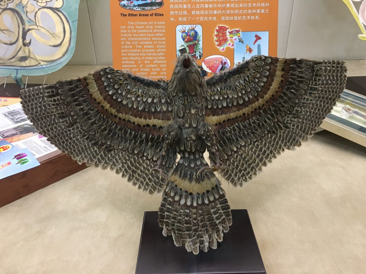 潍坊风筝博物馆