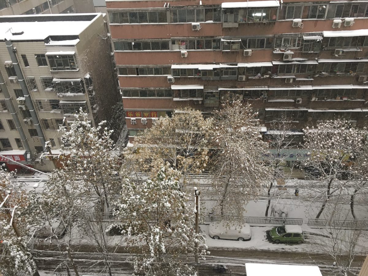冬季·河南·郑州·大雪