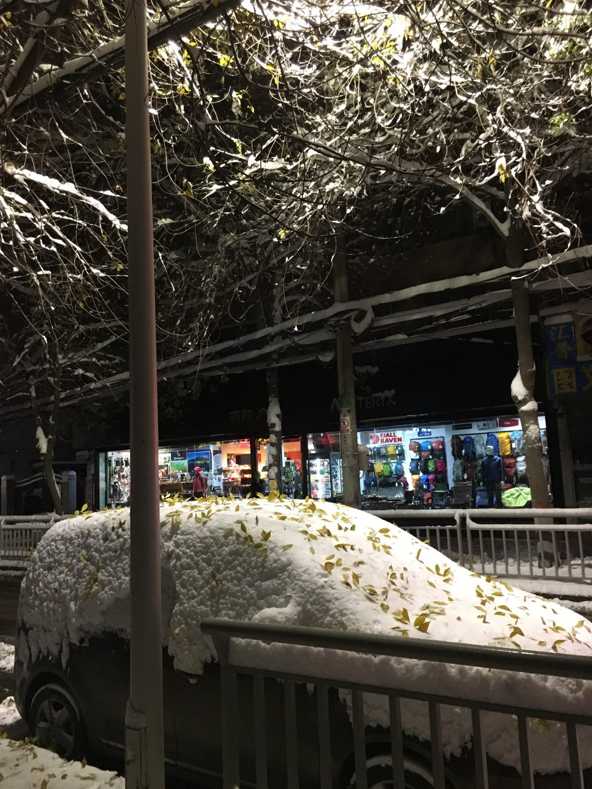 积雪落叶