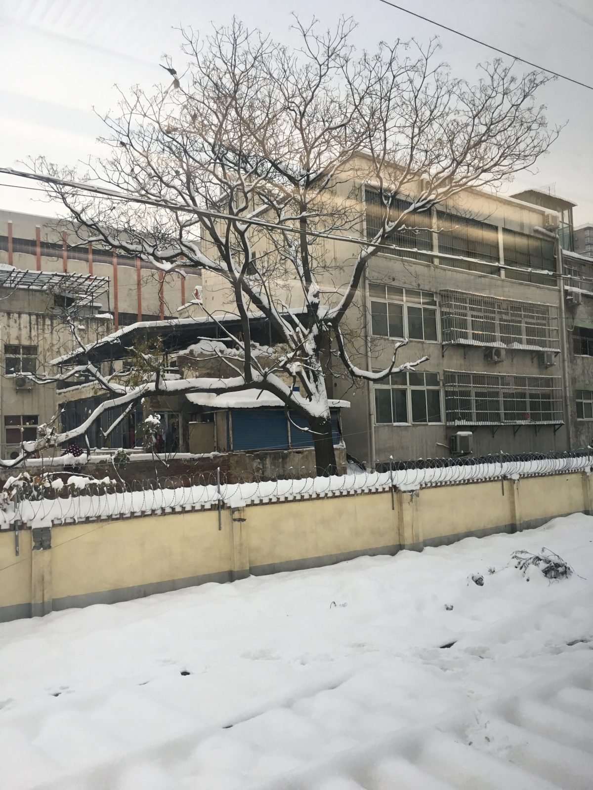 雪后的铁路沿线