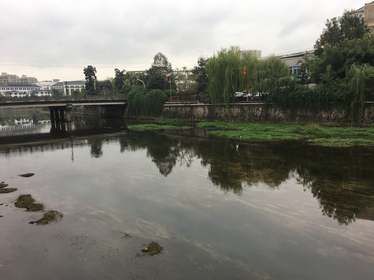 浙江安吉西苕溪