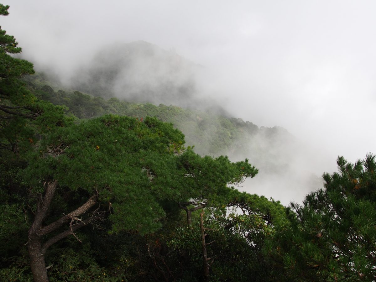 江西·上饶·玉山·三清山