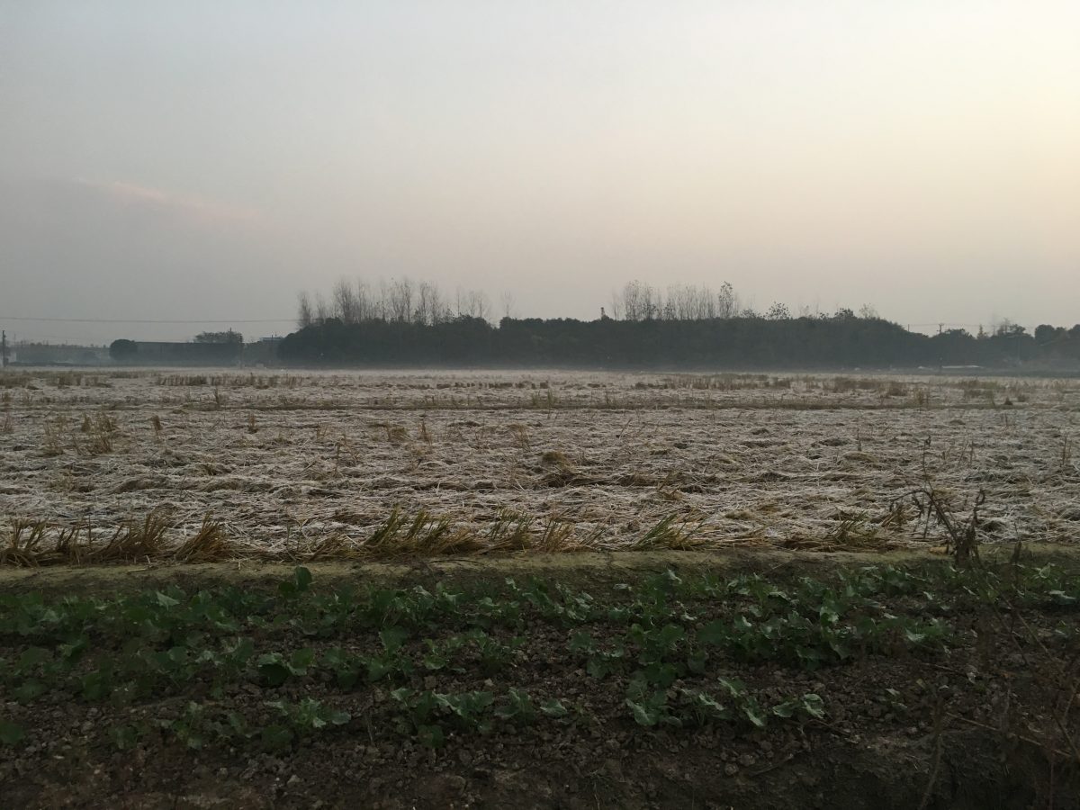 霜降