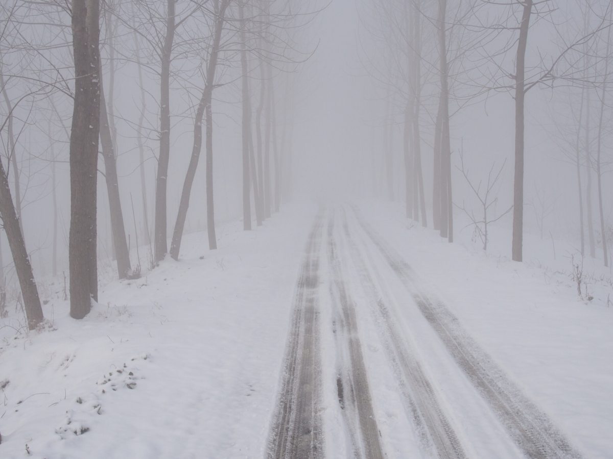 新年·初雪·路
