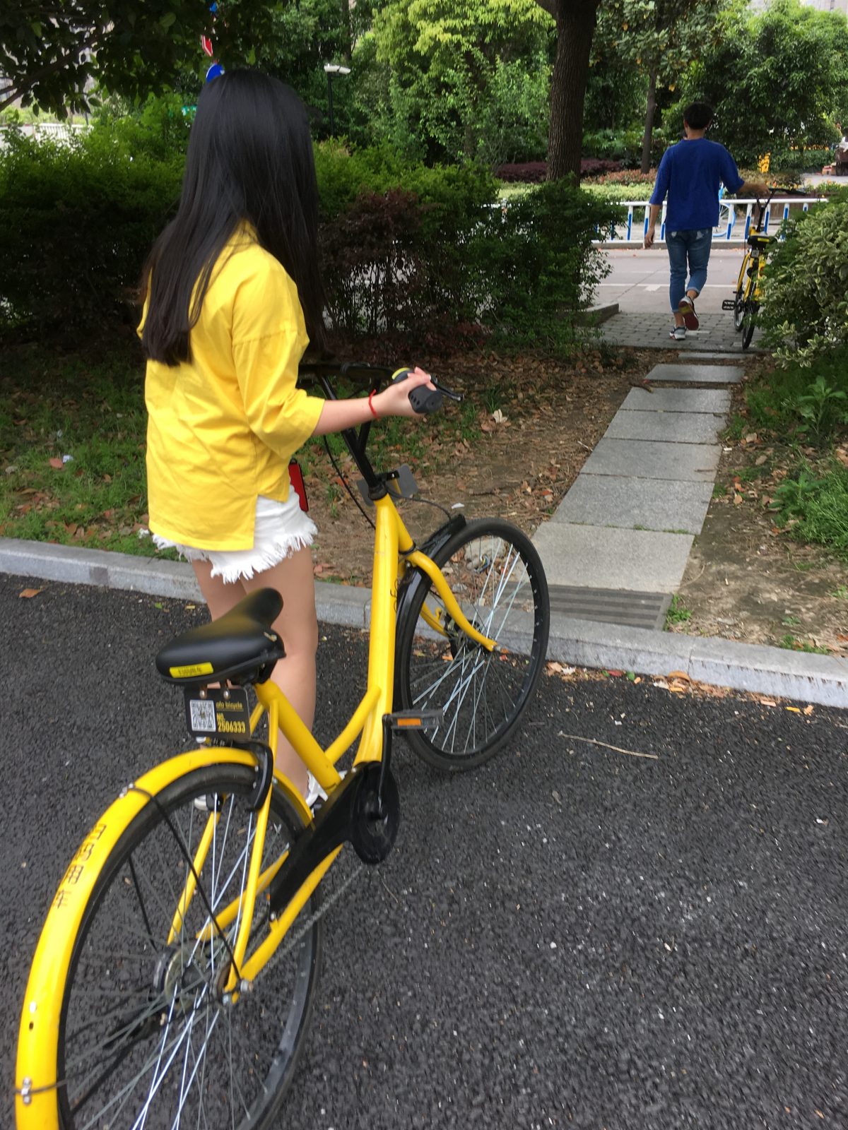 浙江杭州 ofo 共享单车