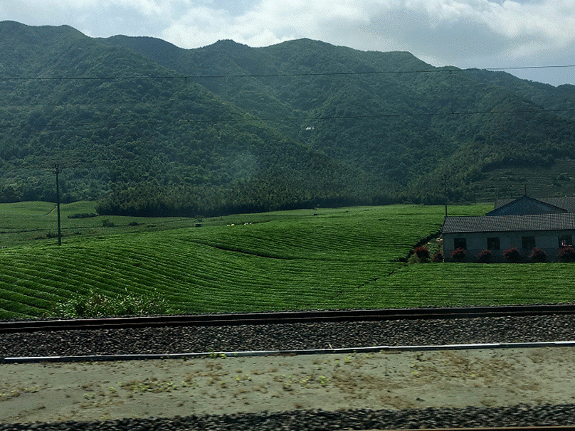 浙江·宁波·奉化·山·茶园·铁路
