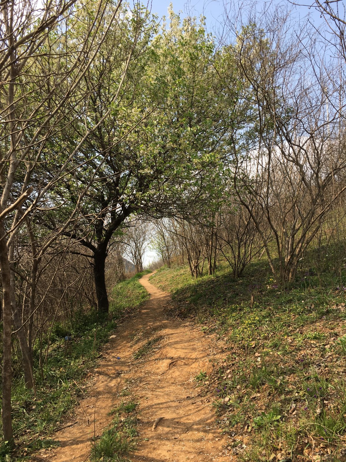镇江圌山