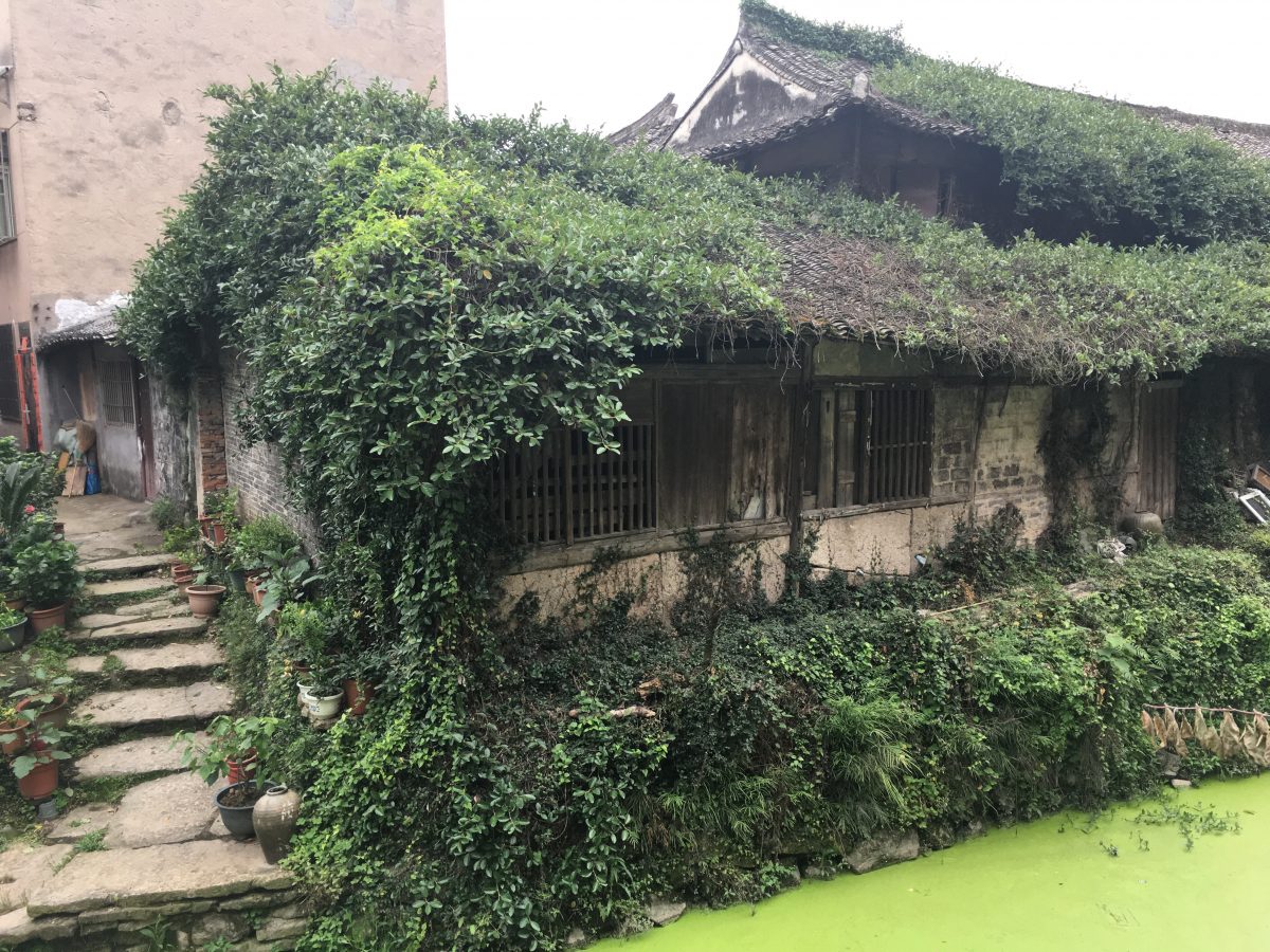 温岭泽国老屋