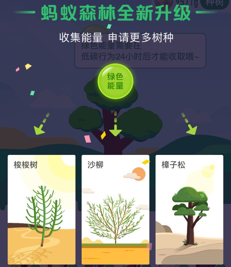 阿里·蚂蚁森林