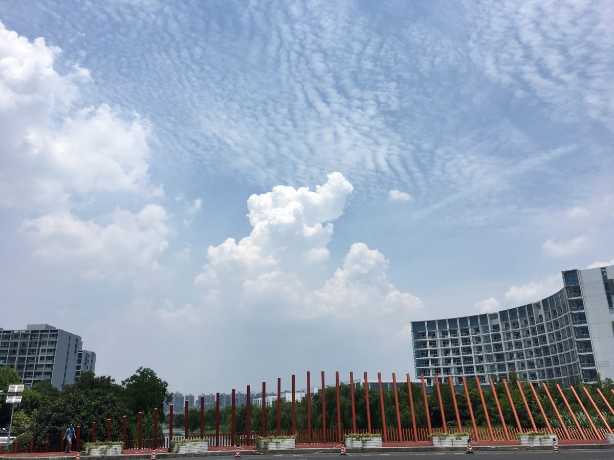 烈日当空的夏天