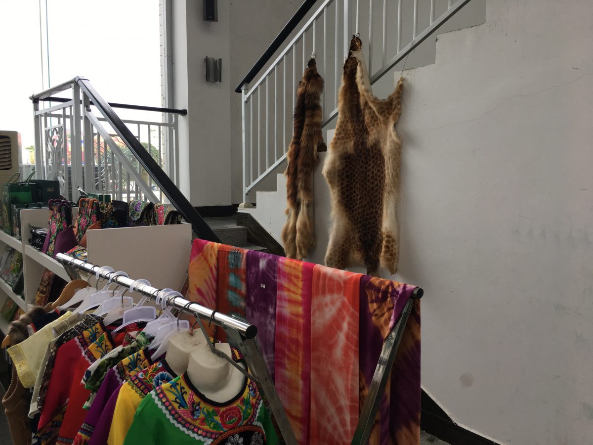 贵州安顺黄果树机场旅游商品店内的野生动物毛皮