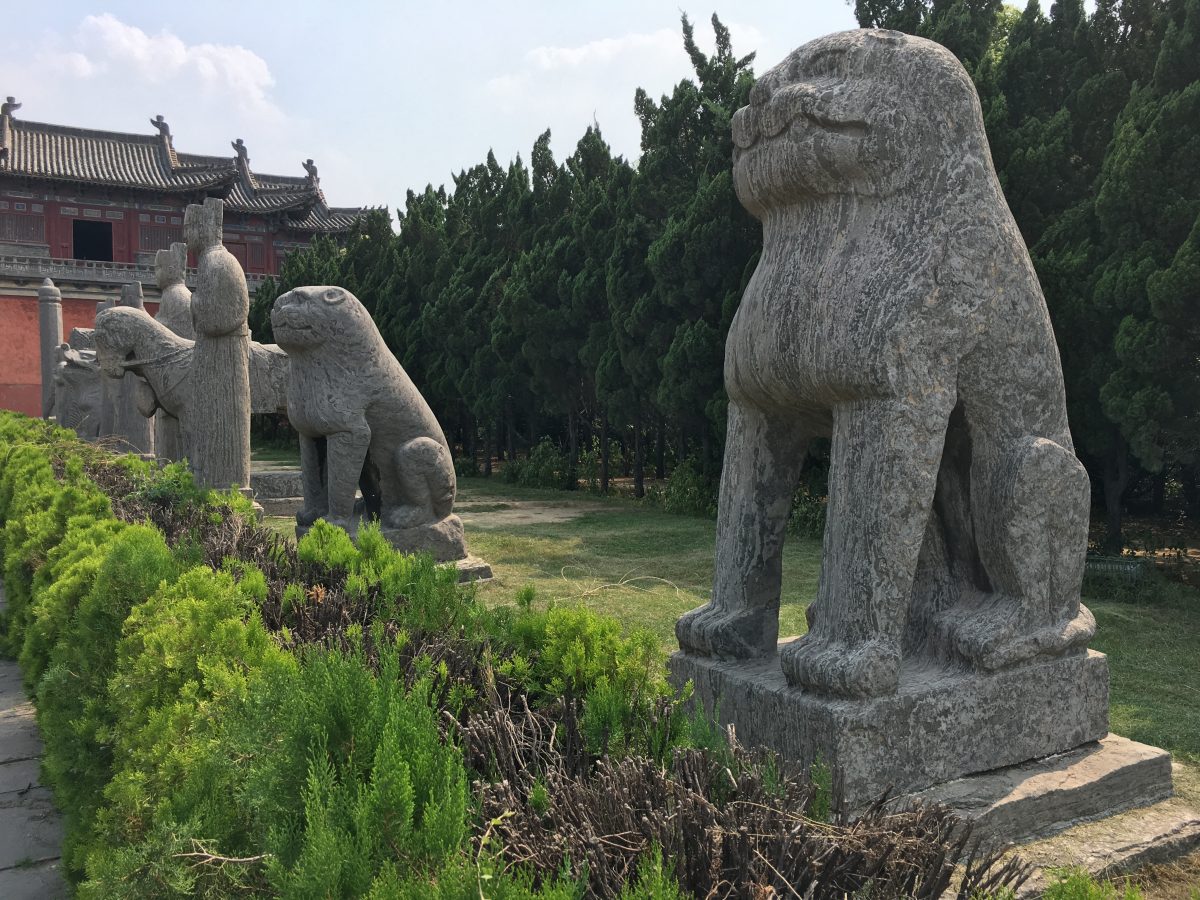 石虎