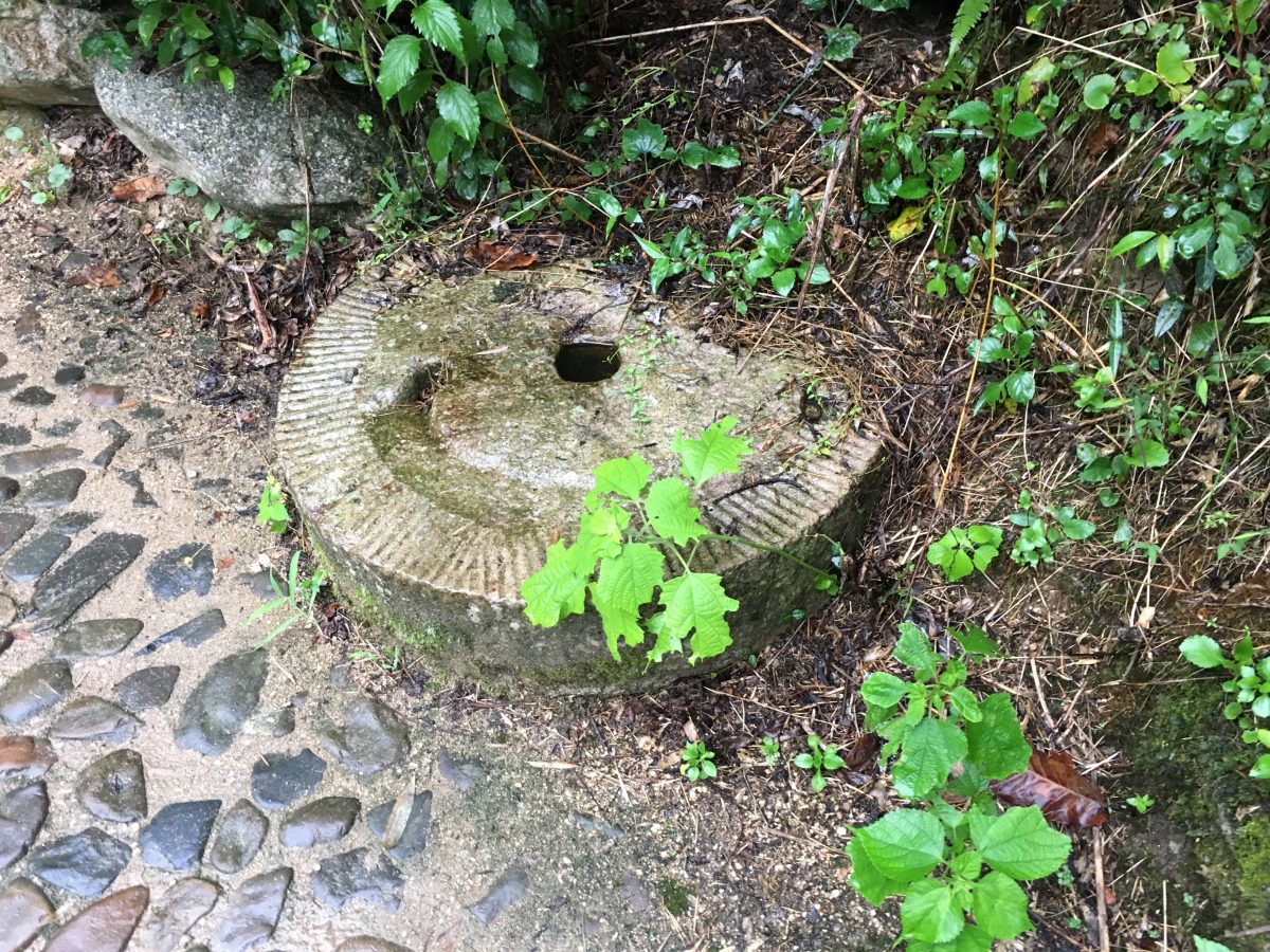 峡谷瀑布