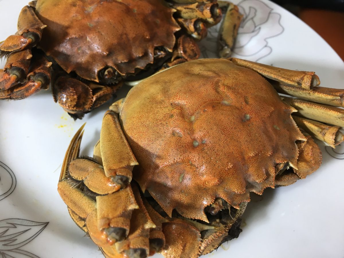 大闸蟹