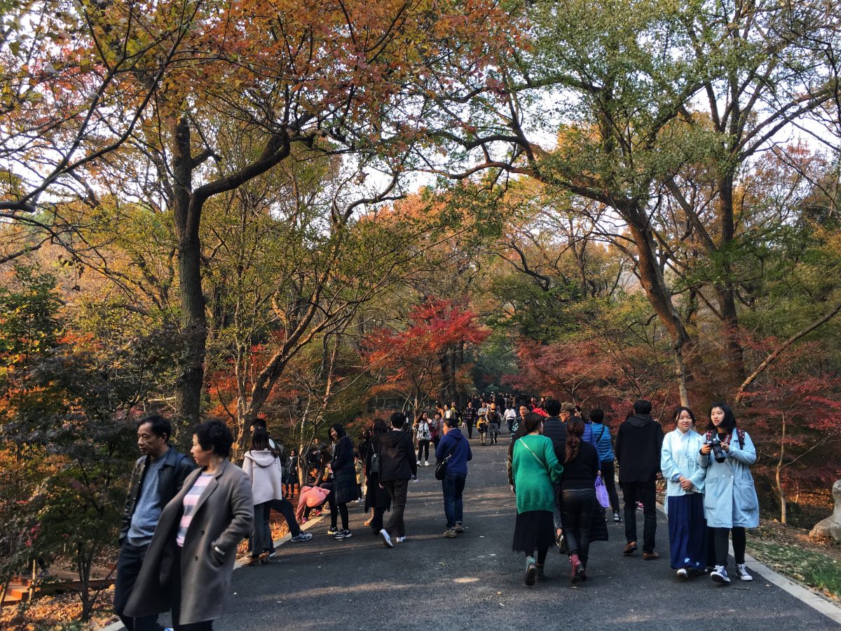 栖霞山秋色