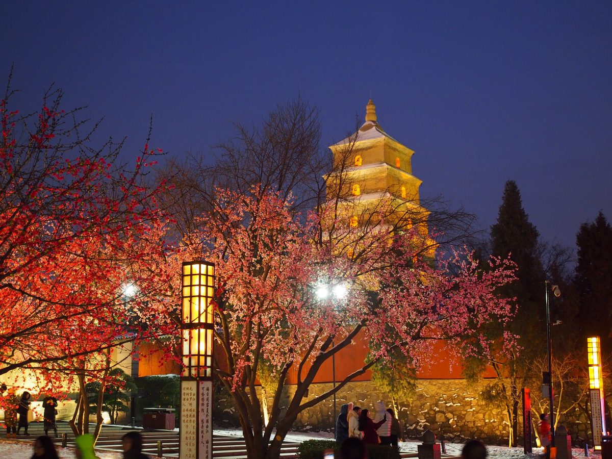 大雁塔夜景