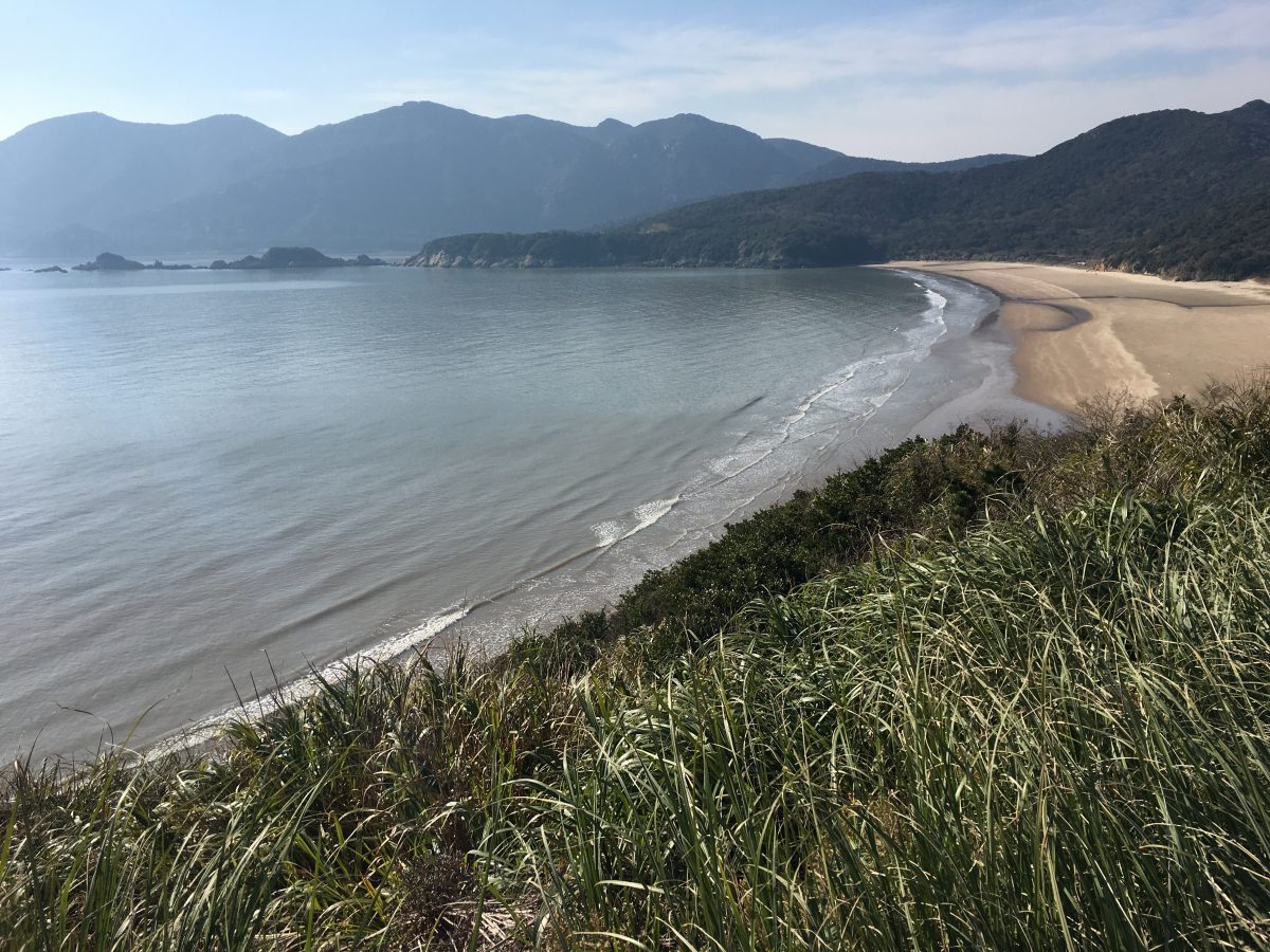 海湾沙滩