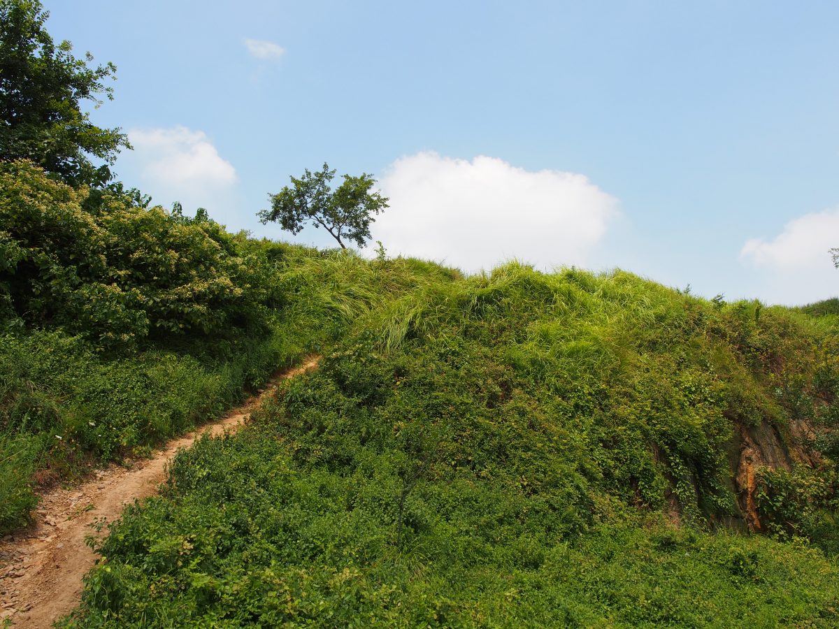 齐贤·羊山石城